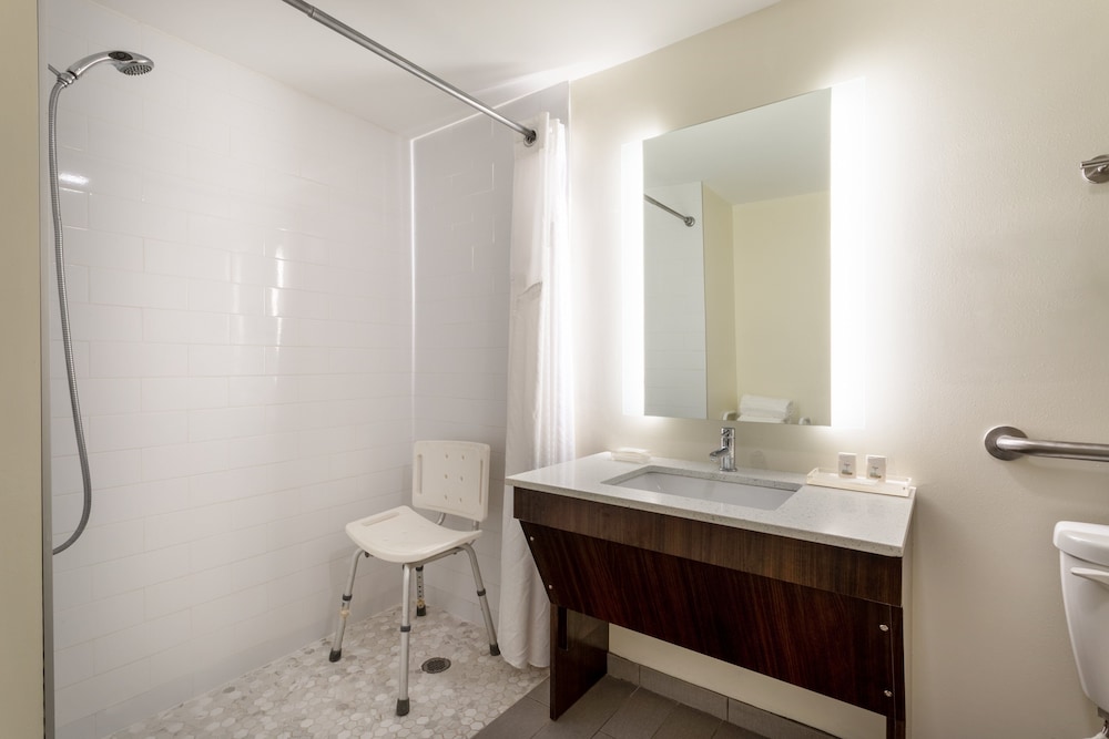 Holiday Inn Tampa North - photo 16