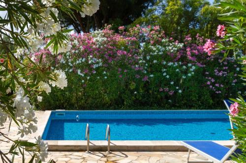 Bilo Gardenia — Marina Di Grosseto