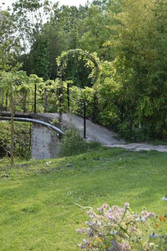 Oneiro Nisos — Maillezais — photo 5