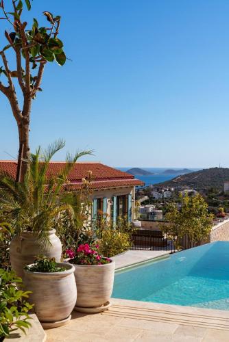 Calliope Epic Elegance Retreat — Kas — photo 3
