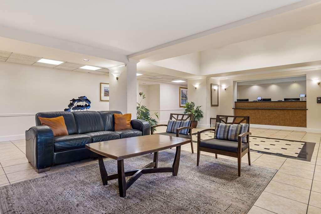 Quality Inn & Suites NRG Park Medical Center - photo 5