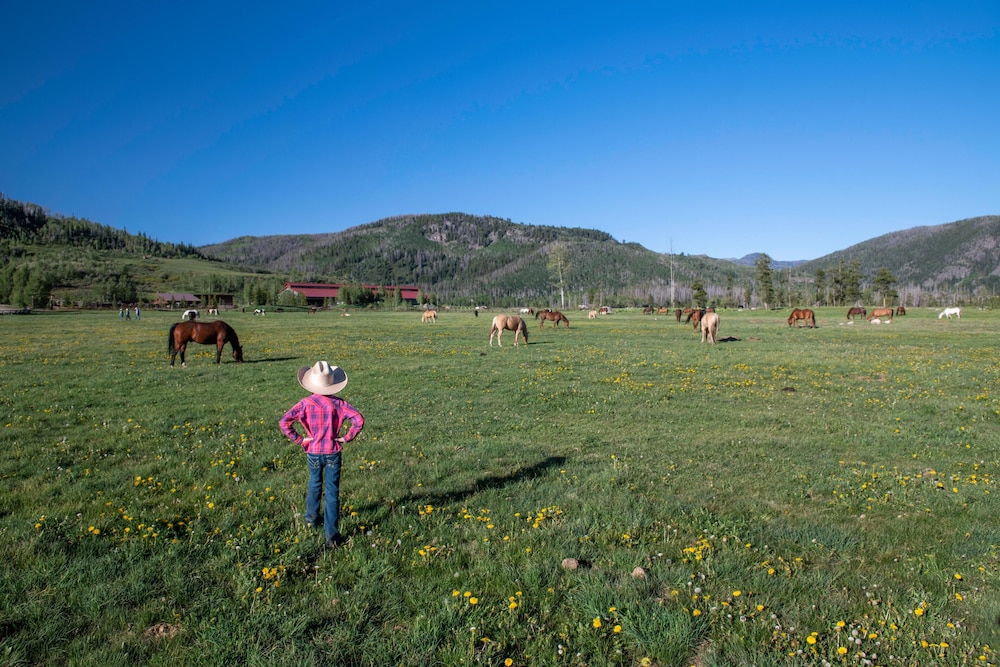 Vista Verde Ranch All inclusive Cabin - photo 17