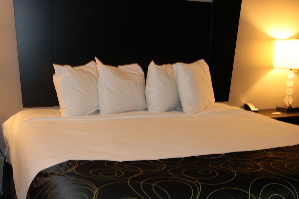 Okoboji Inn & Suites - photo 14
