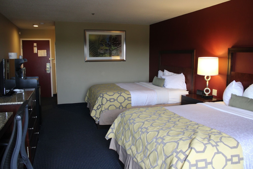 APM Inn and Suites - photo 5