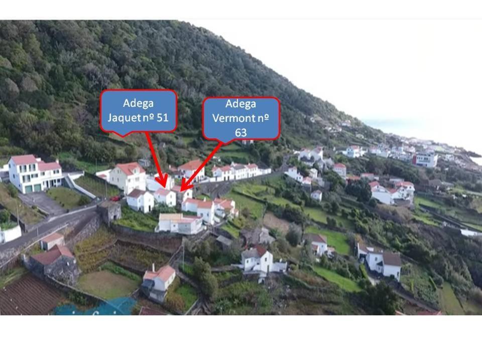 Adega Jaquet — Calheta — photo 2