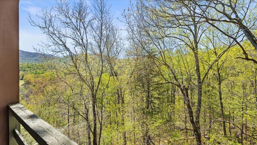 Laurel Valley Mountain Retreat - photo 150
