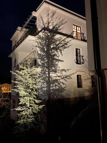 Vila Maister — Celje — photo 5