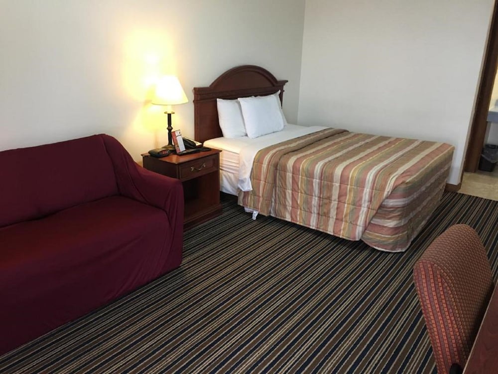 Huggy Bear Motel - photo 5