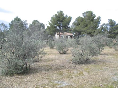 Mazet Pleine Nature — hotel in Mouries