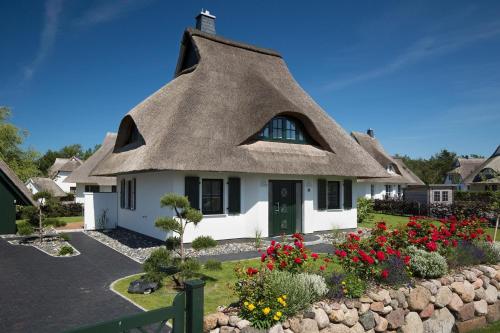 Ferienhaus Seeadler 34 — 4-Star Luxury Hotel in Zingst, Germany