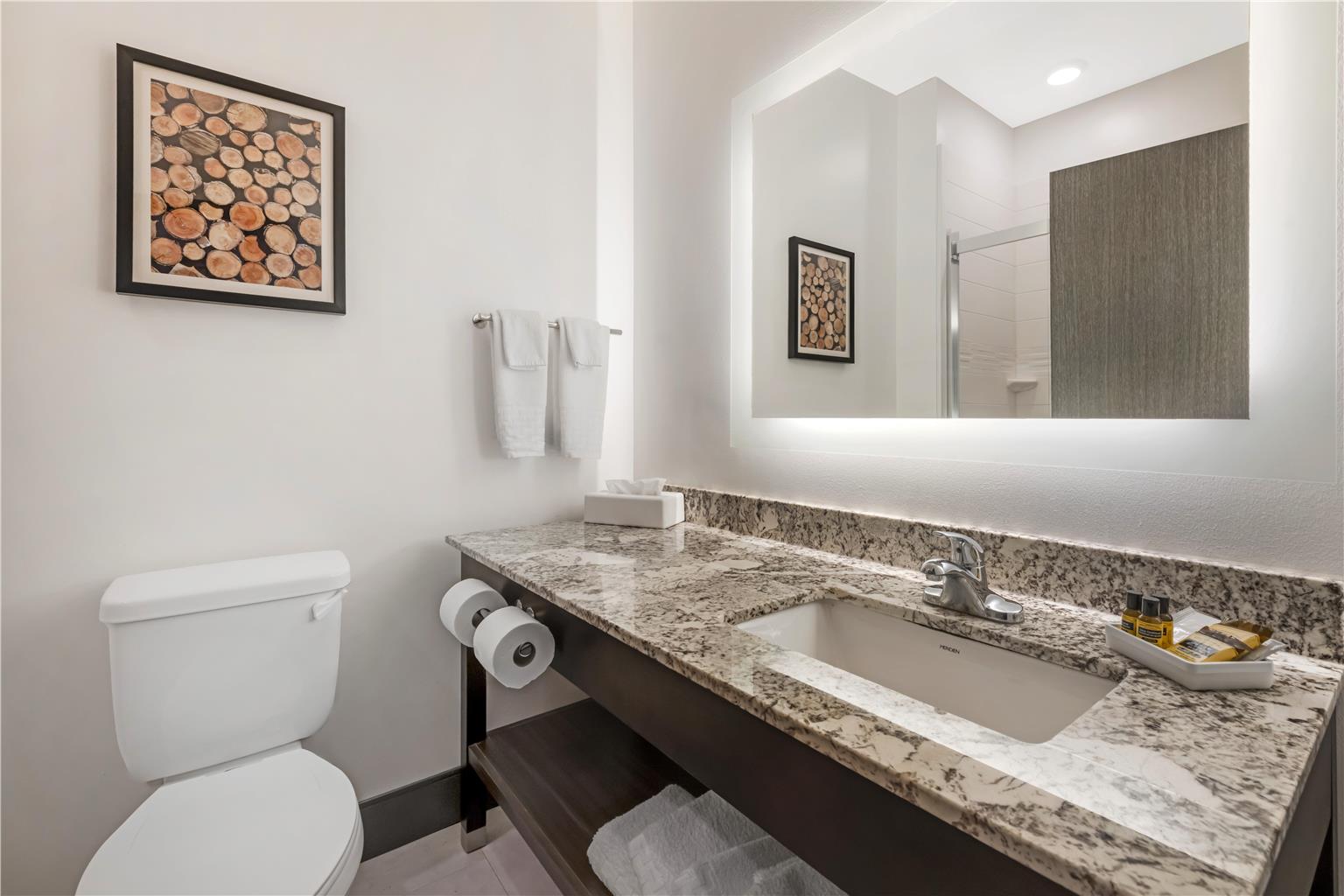 Best Western Plus Isanti - photo 29