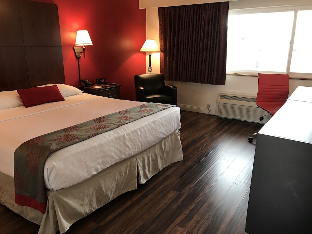 Ramada by Wyndham Torrance - photo 5