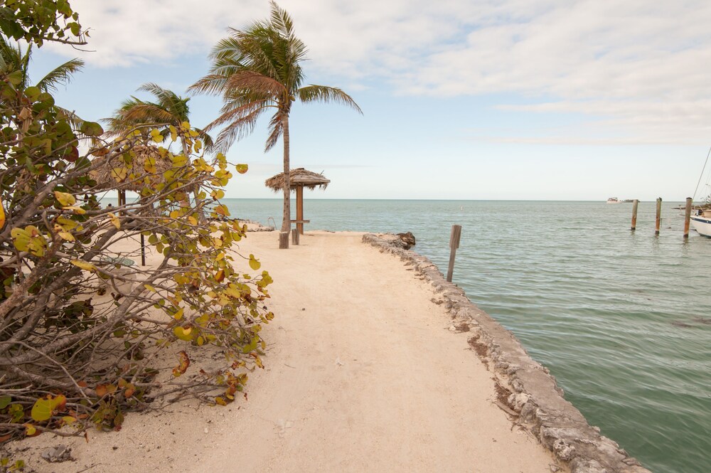 Blackfin Resort and Marina - photo 24