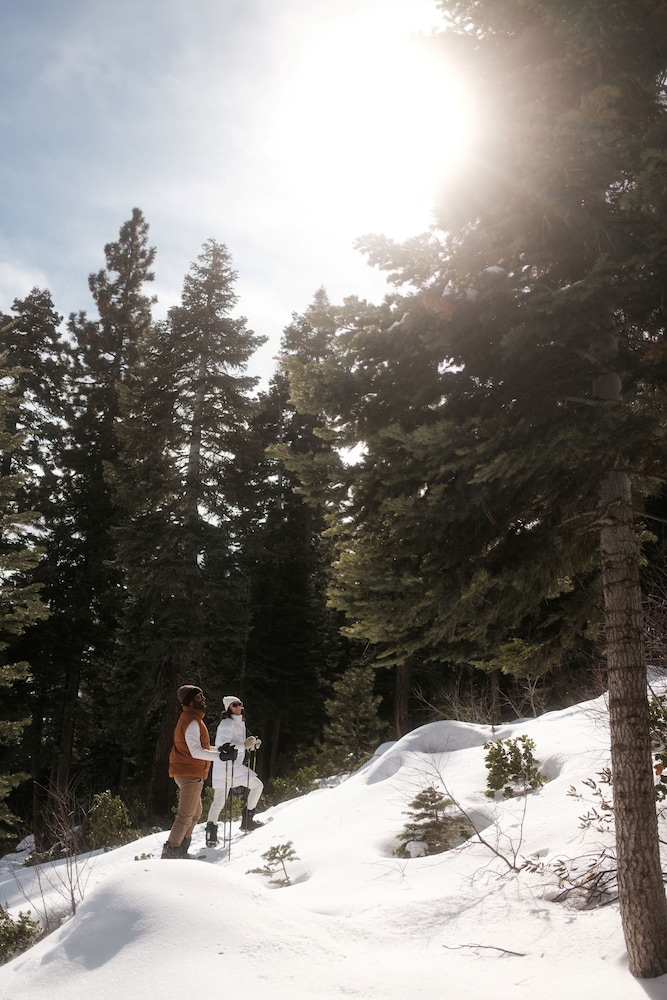The Ritz Carlton Lake Tahoe - photo 95