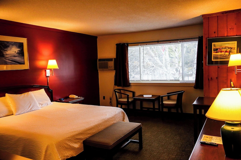 Snowy Owl Inn And Resort - photo 22