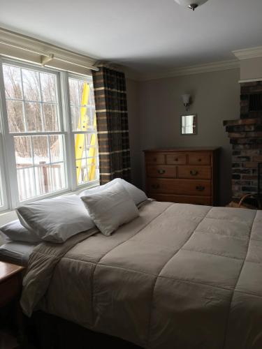 Wiley Inn - photo 31