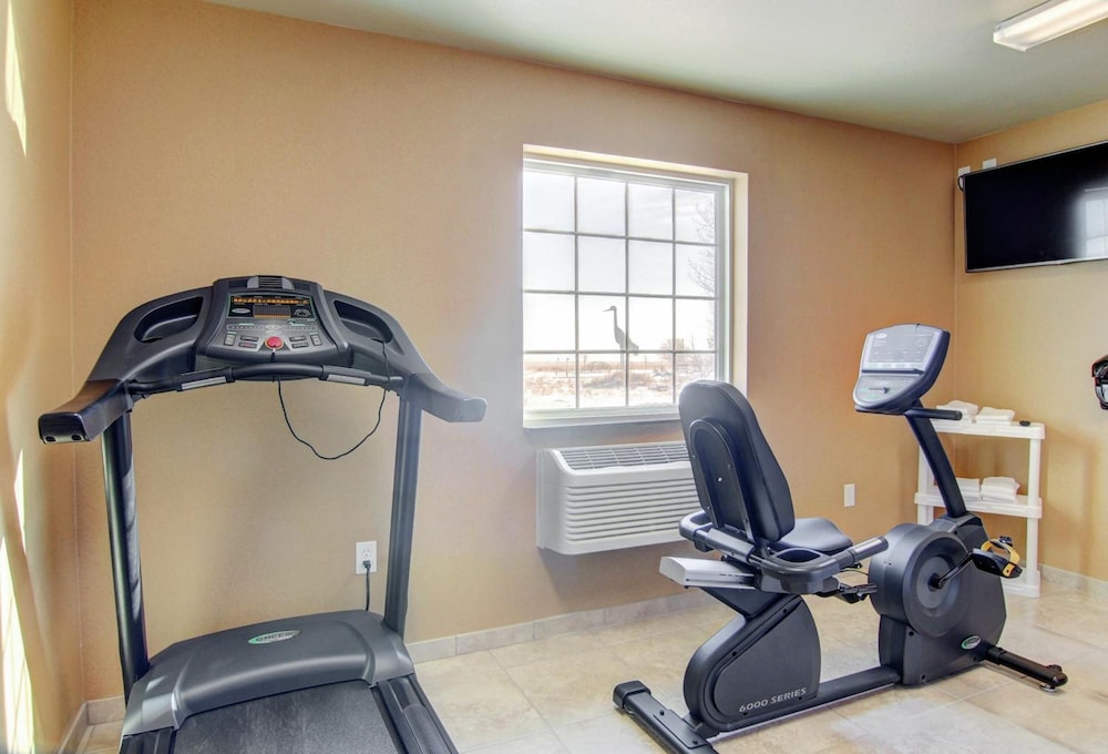 Cobblestone Inn & Suites Harvey - photo 31
