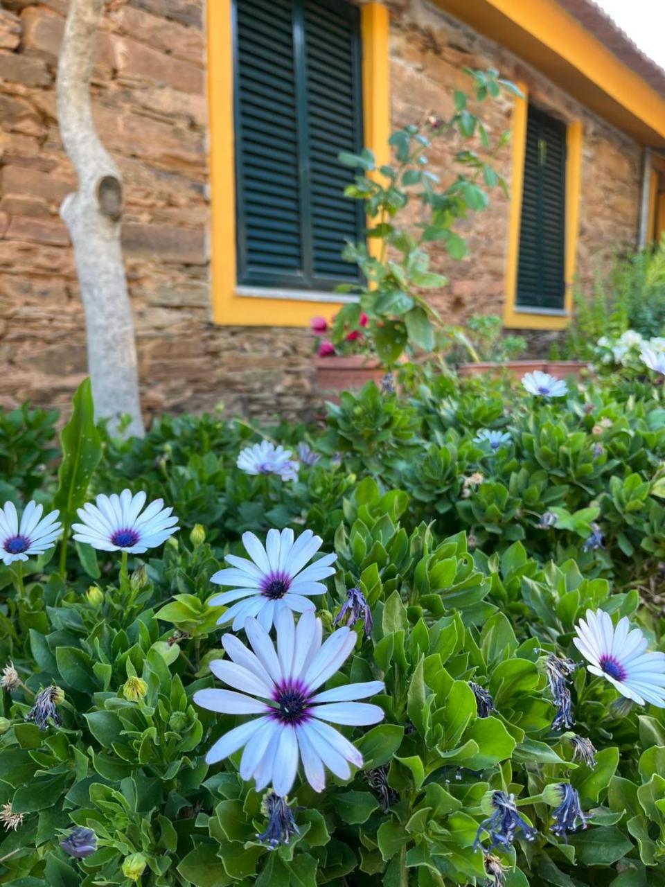 Quinta de Canelas - last minute hotel in Unknown City