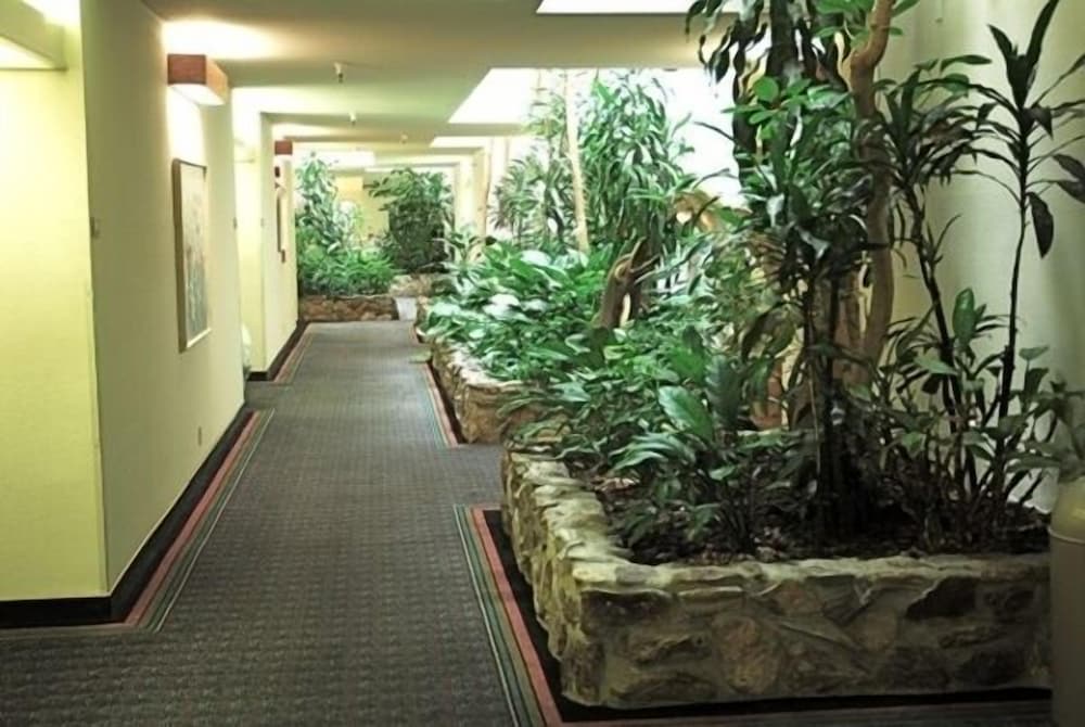Monarch Resort - photo 24