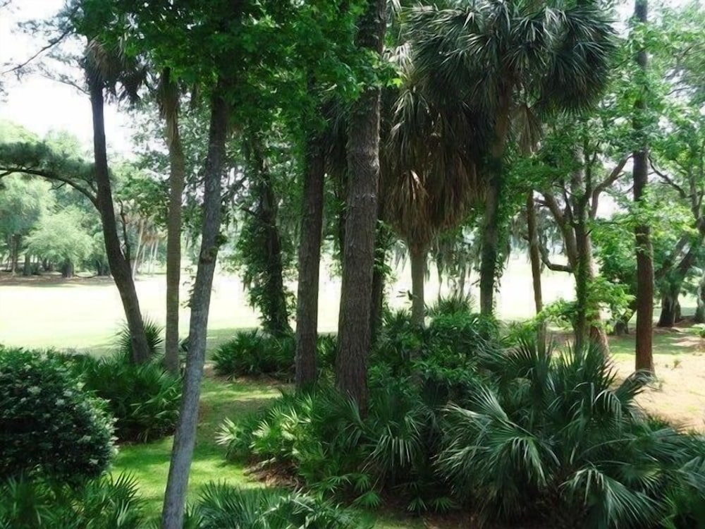 471 Plantation Club at The Sea Pines Resort - photo 11