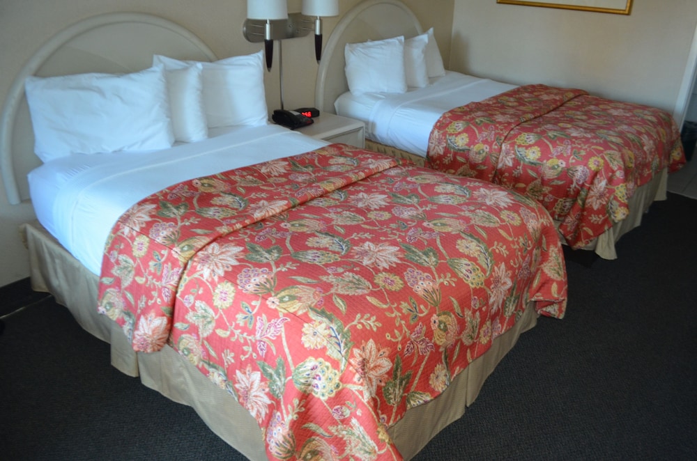 Chapel Hill University Inn - photo 8