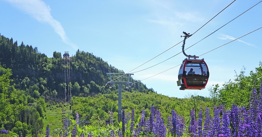 Eagle Ridge Resort At Lutsen - photo 60