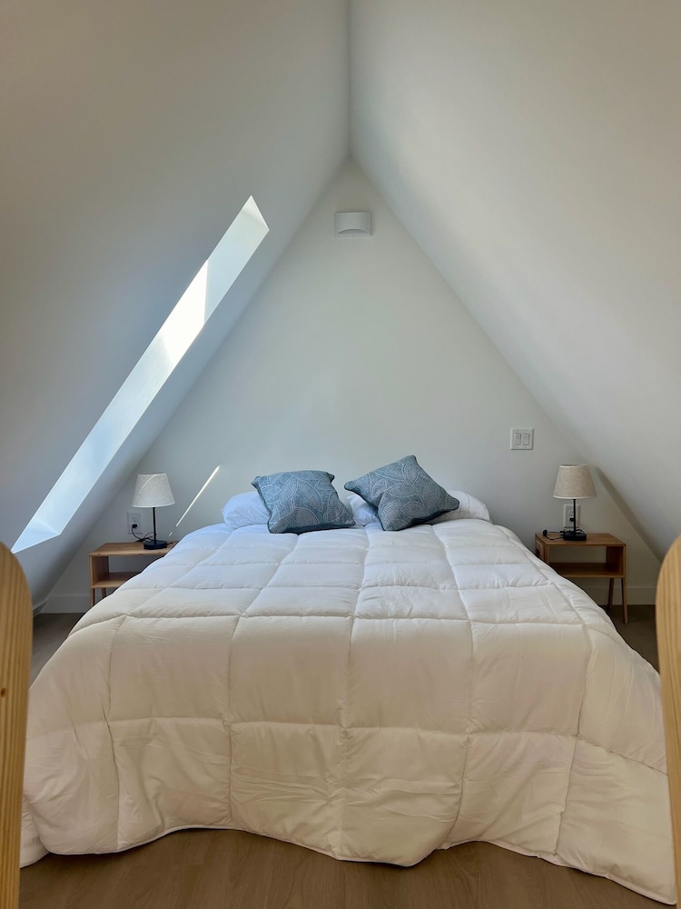 Stay In Babia — Montgomery