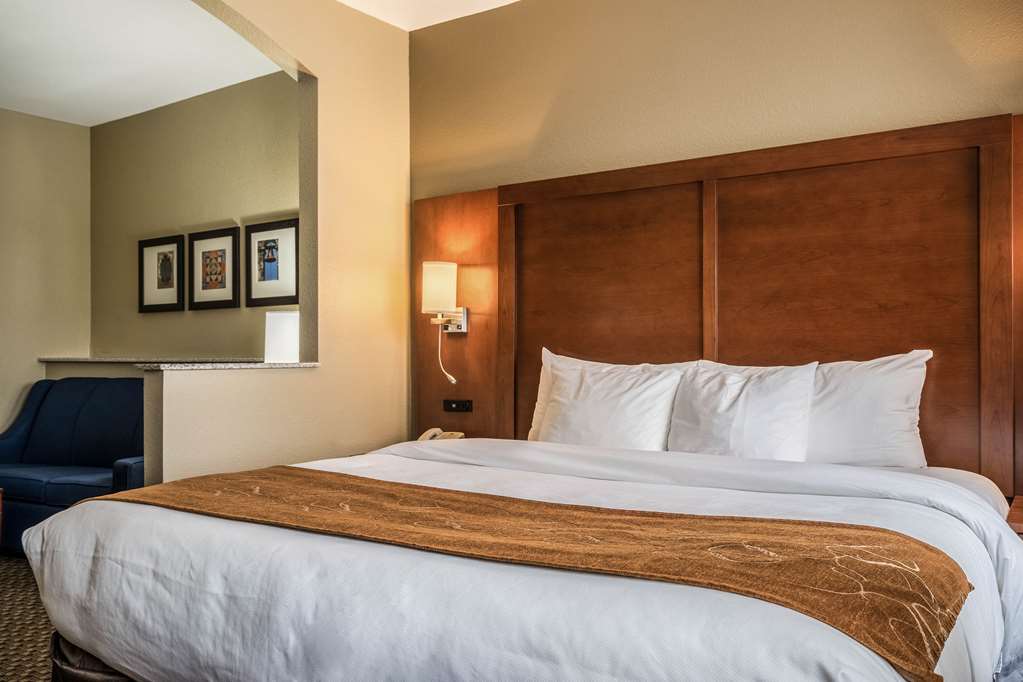Comfort Suites Near Texas State University - photo 15