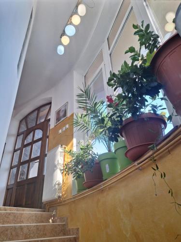 Panoramic Apartment — 4-Star Luxury Hotel in Targu-Mures, Romania