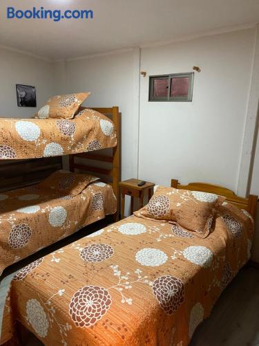 Los Salares in Antofagasta, Chile