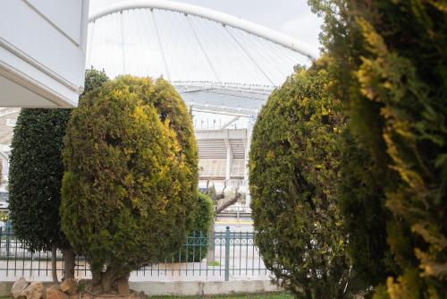Garden view apartment Marousi — 4-Star Luxury Hotel in Athens, Greece