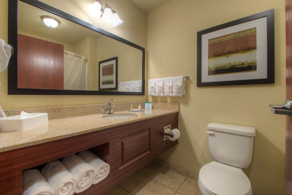 Cobblestone Inn and Suites Holyoke - photo 23