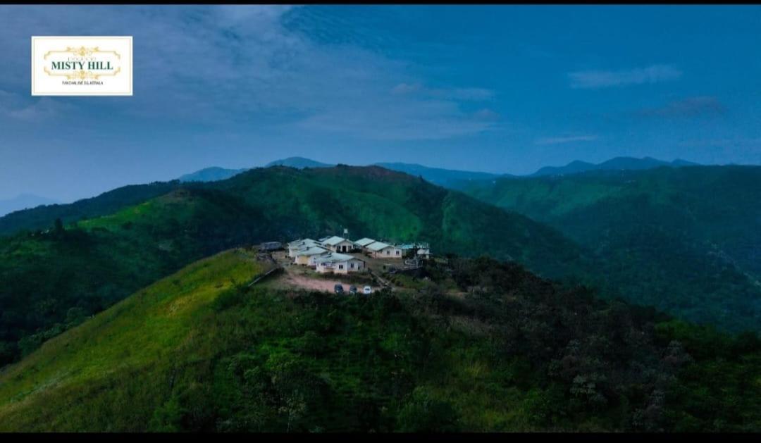 Misty Hill — Cochin — photo 2