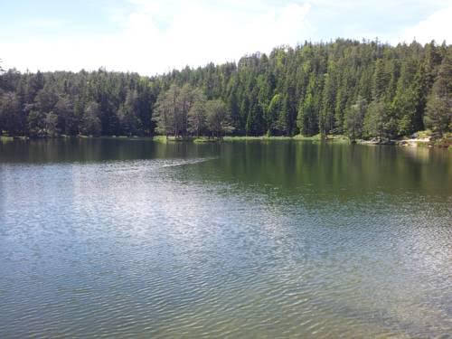 Gasthof Menthof in Seefeld In Tirol, Austria