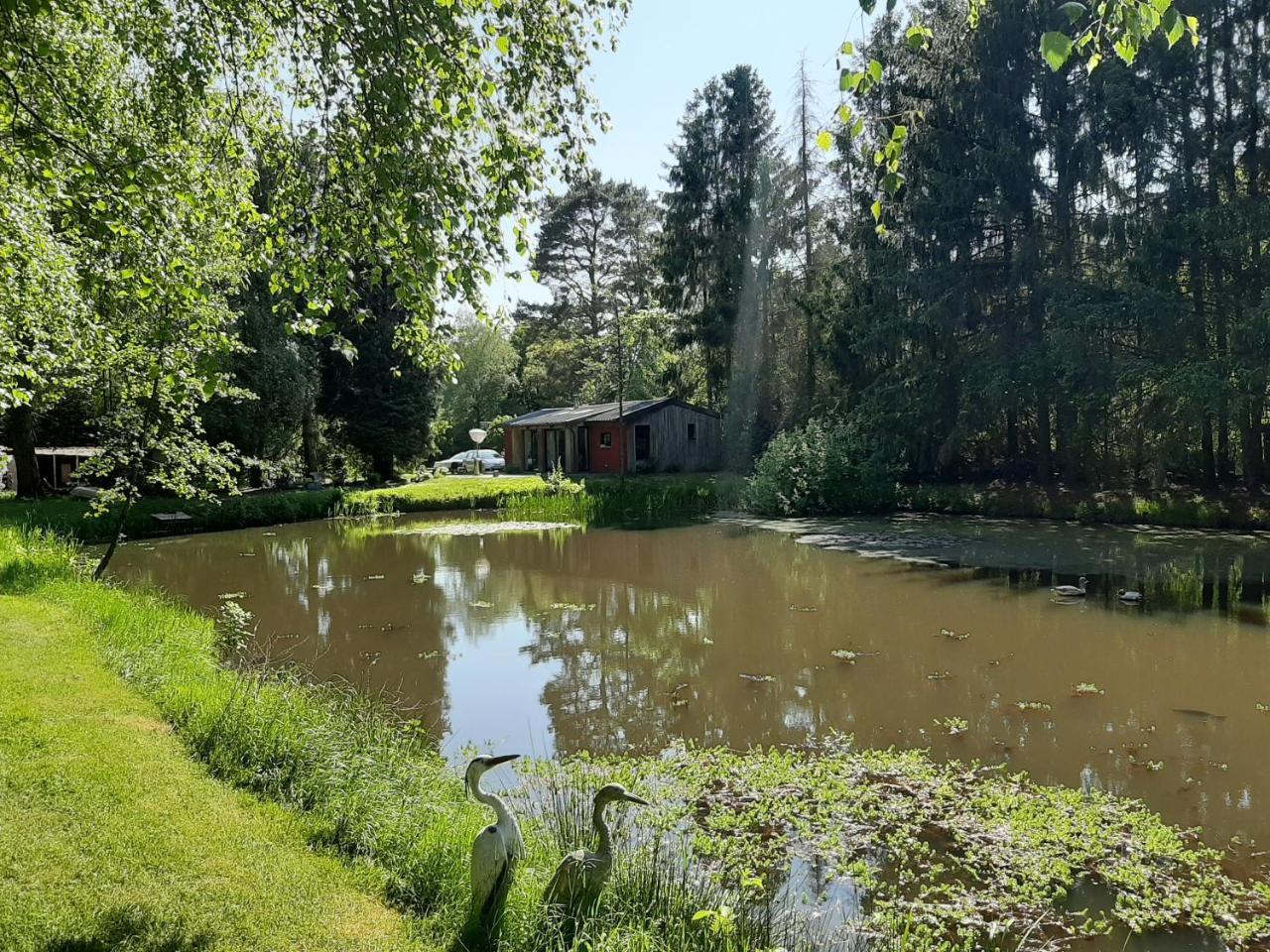 De Vijver in Geel, Belgium