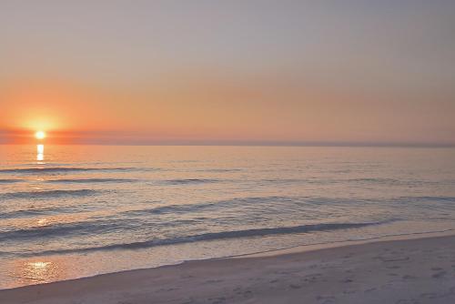 You Only Live Once — 4-Star Luxury Hotel in Sarasota, United States