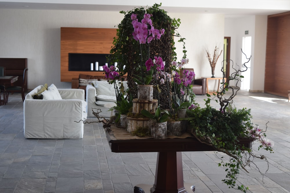 Amphora Hotel & Suites — Paphos — photo 2