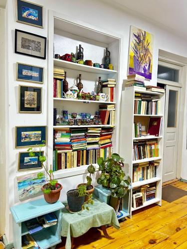 Hotel Artist’s House in T'et'ri Tsqaro, Georgia