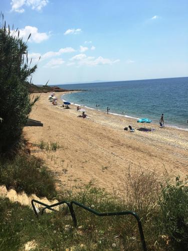 Estate Irene — Alexandroupoli — photo 3