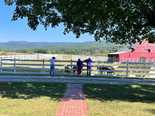 Mountain Quest Inn - photo 65