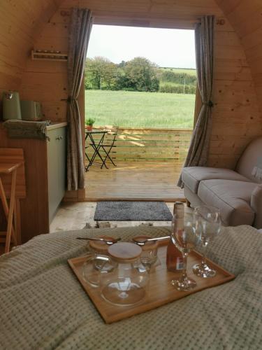 Y Nyth The nest in Bridgend, United Kingdom