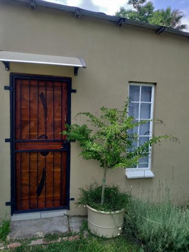 Outside room - carbon neutral hotel in Pretoria