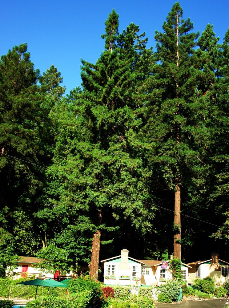 Fern Grove Cottages - photo 89