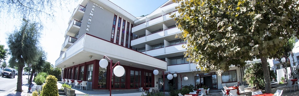 Palmarosa in Roseto Degli Abruzzi, Italy