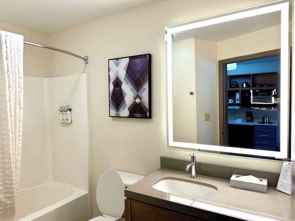 Candlewood Suites Savannah Airport by IHG - photo 18