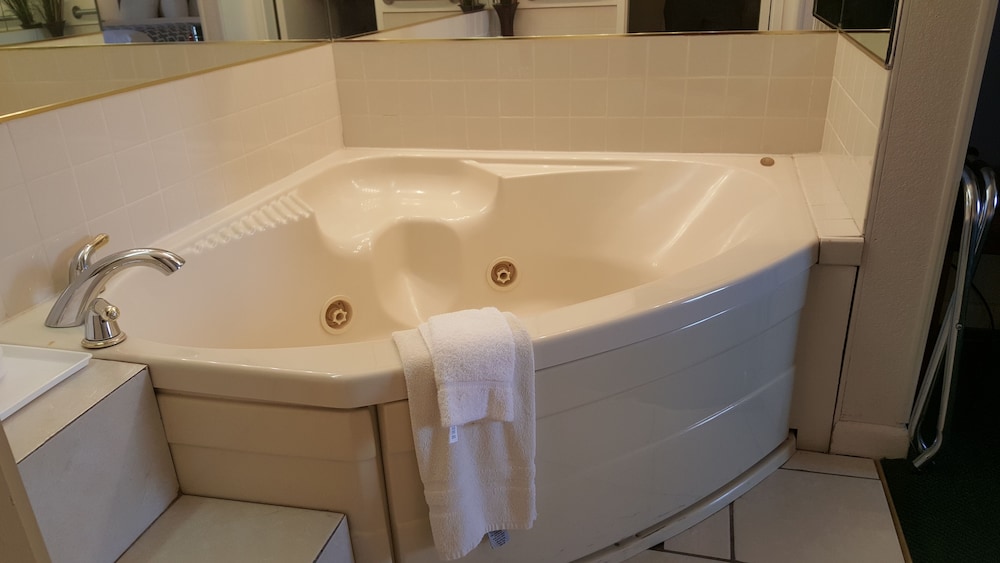 Alamo Inn & Suites - photo 25