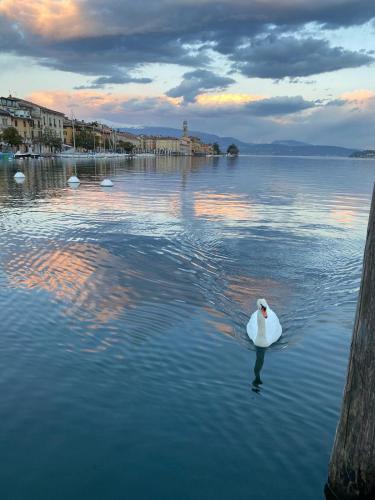 Wonderful apartment to enjoy your confort and relax in a magic surroundings of the Garda Lake — 4-Star Luxury Hotel in Salo, Italy