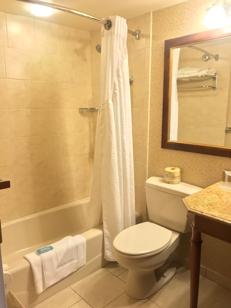 Rockville Centre Hotel JFK Airport - photo 16