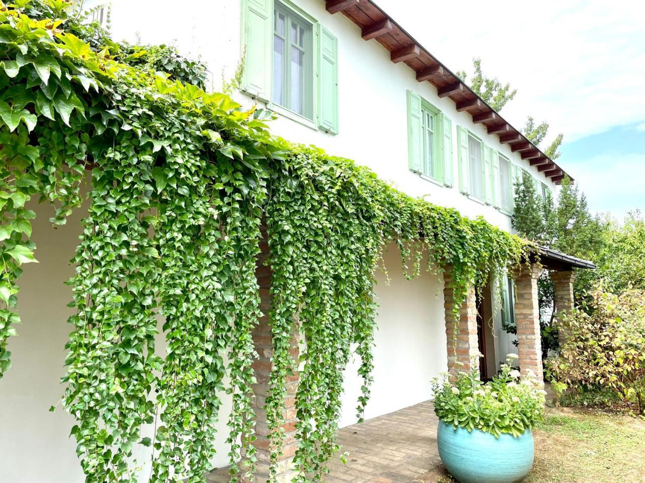 Terravino Retreat at Lake Balaton
