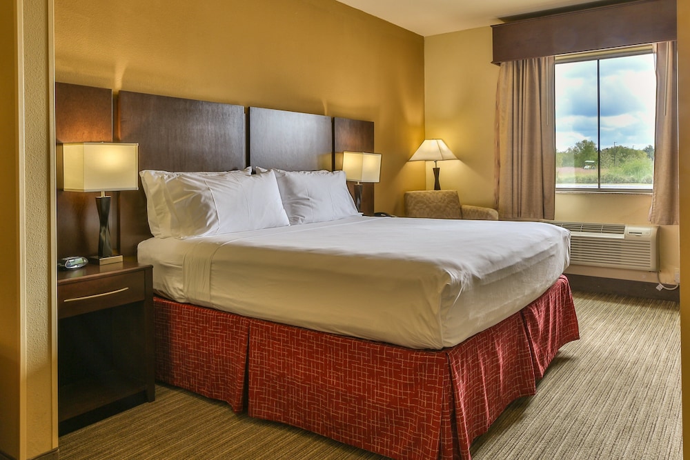 Holiday Inn Express & Suites Houston South near Pearland by IHG - photo 13